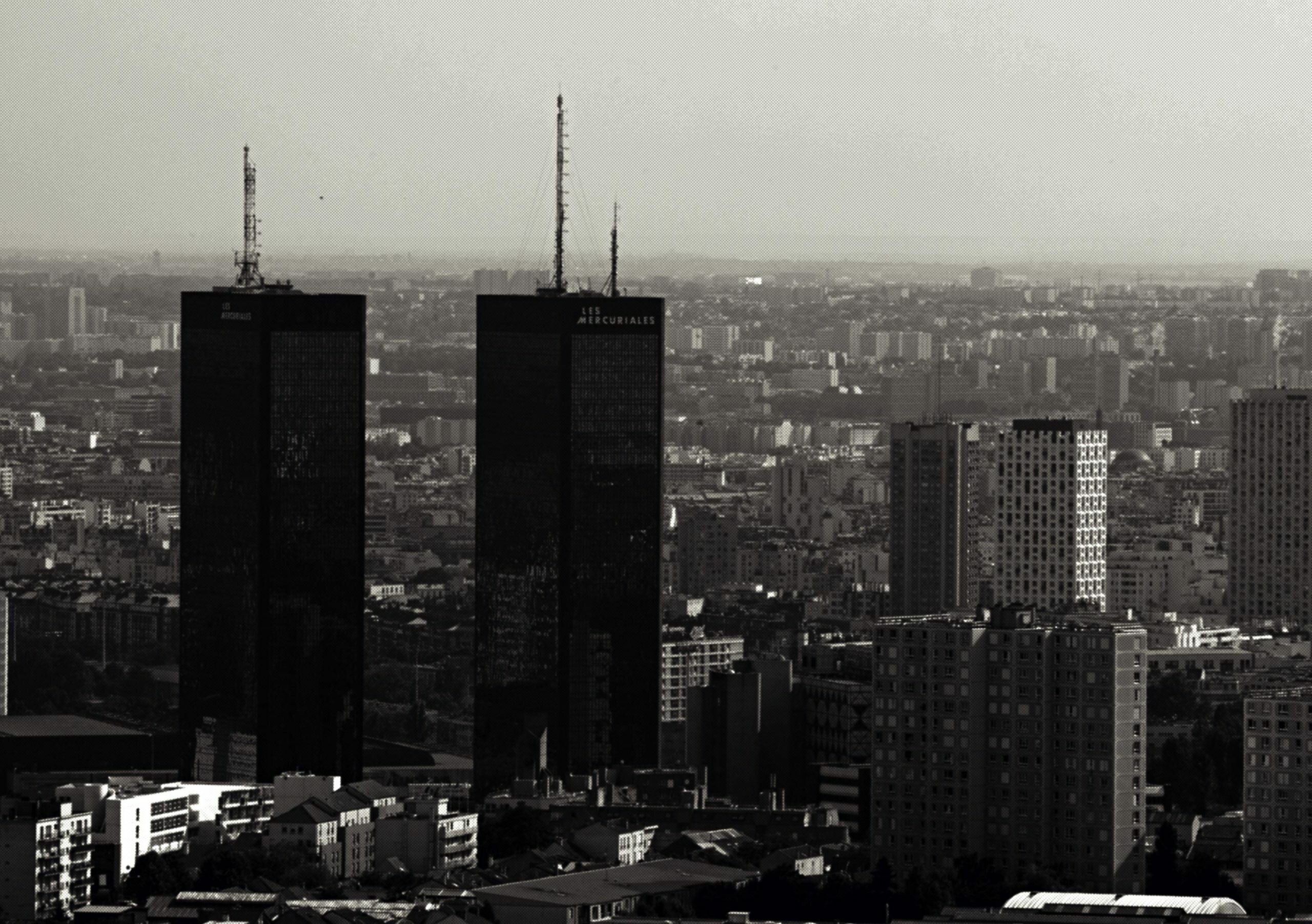 Plan Large - C’est dans la boîte&nbsp;!